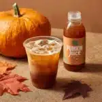 Harry Potter Pumpkin Juice Recipe