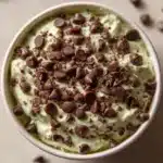 Mint Chocolate Chip Dip Recipe