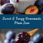 Easy Plum Jam Recipe