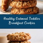 Oatmeal Toddler Breakfast Cookies Recipe