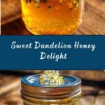Dandelion Honey Recipe