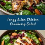 Asian Chicken Cranberry Salad Recipe