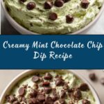 Mint Chocolate Chip Dip Recipe
