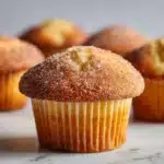 Apple Cinnamon Muffins Recipe