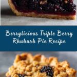 Triple Berry Rhubarb Pie Recipe