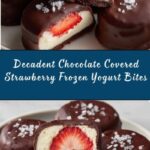Chocolate Covered Strawberry Frozen Yogurt Bites Recipe