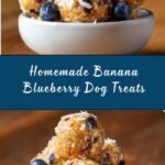 Banana and Blueberry Balls for Dogs Recipe
