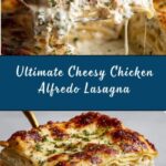 Cheesy Chicken Alfredo Lasagna Recipe