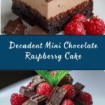 Mini Chocolate & Raspberry Cake Recipe