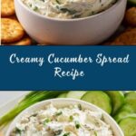 Cucumber Cream Cheese Spread Recipe