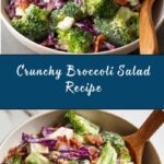 Broccoli Salad Recipe