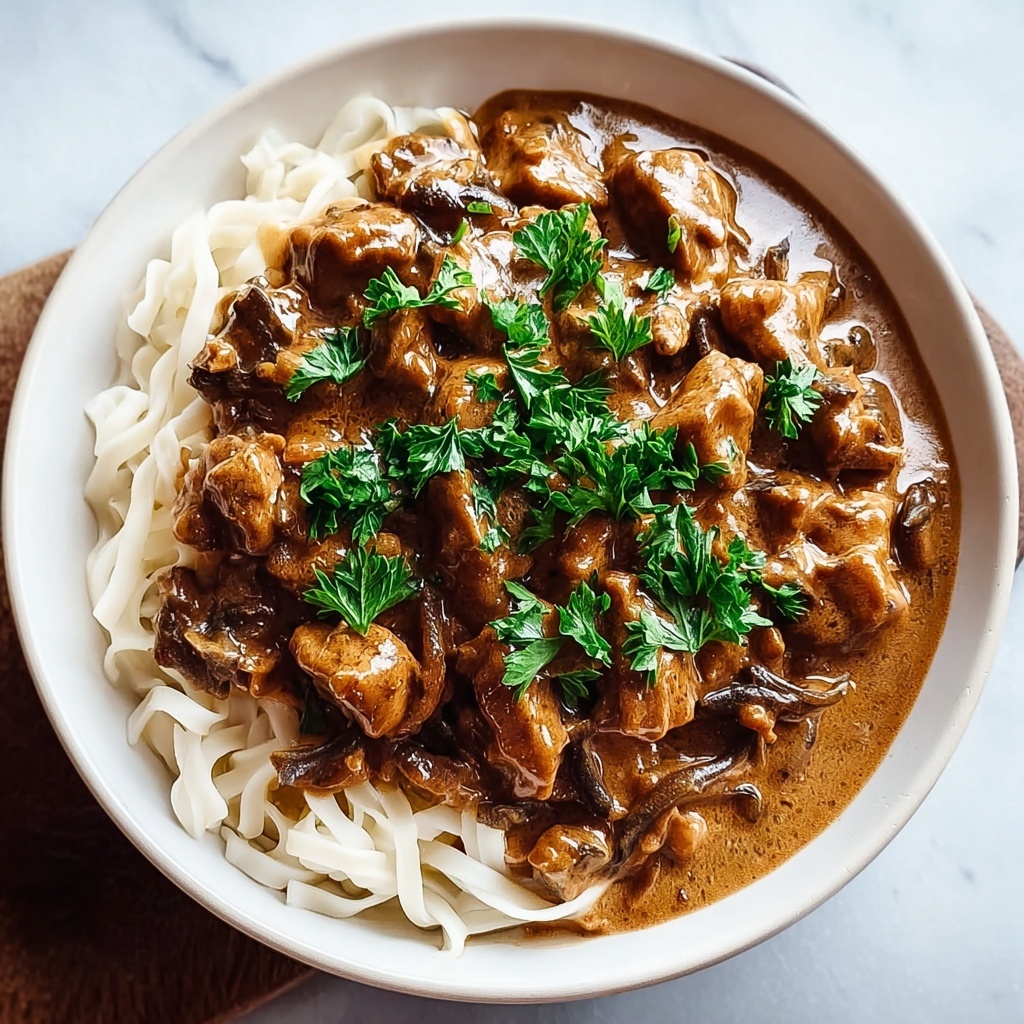Slow Cooker Beef Stroganoff Recipe - Recipe Image